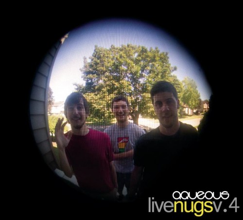 Live Nugs 4 Cover Photo