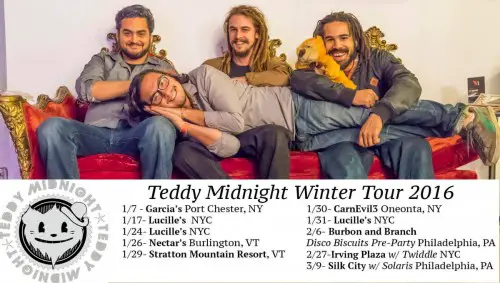 teddy_midnight_winter2016