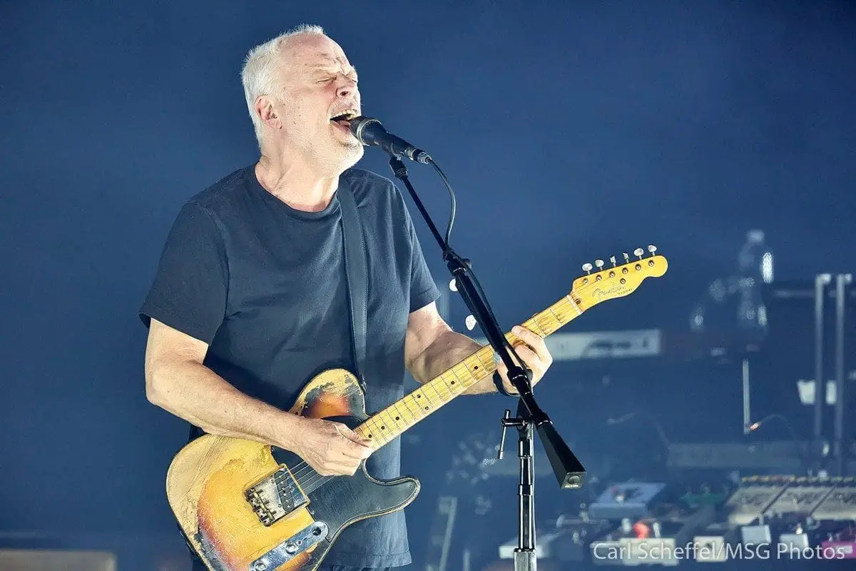 david gilmour madison square garden