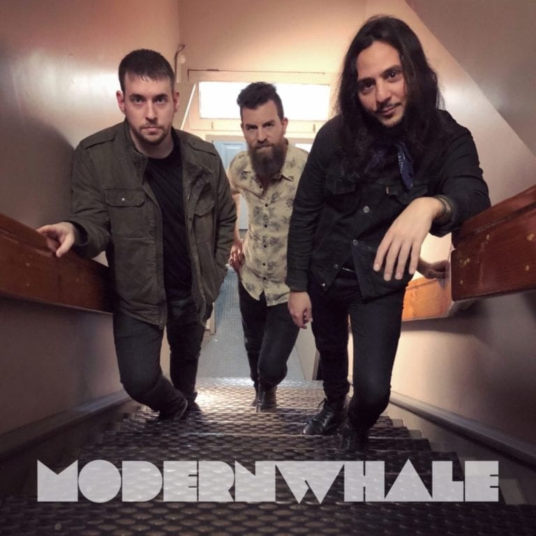modern whale