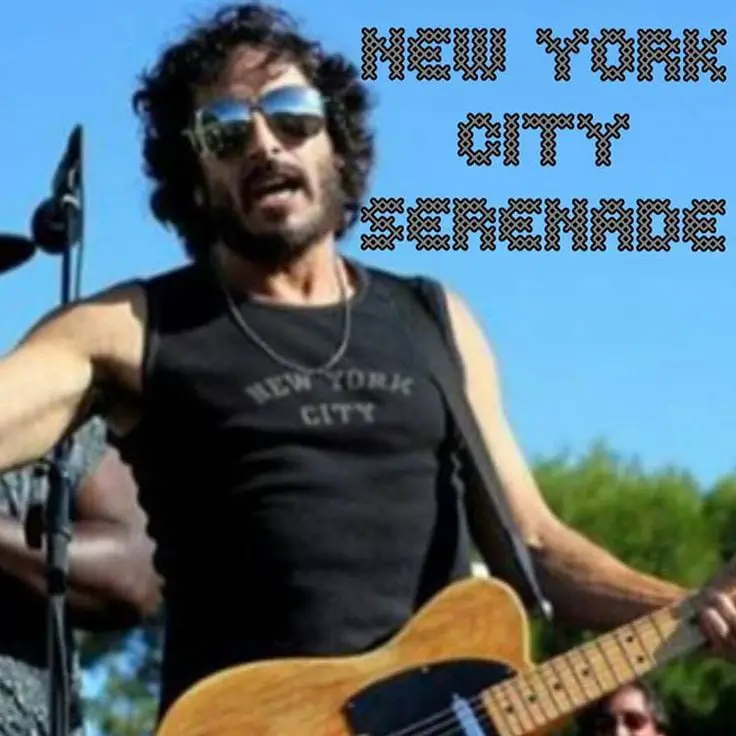 bruce springsteen new york serenade