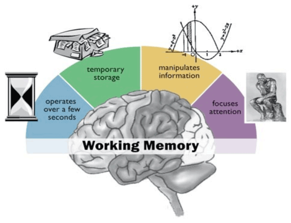 working memory