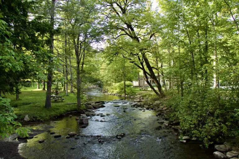 Ellen Reid Soundwalk