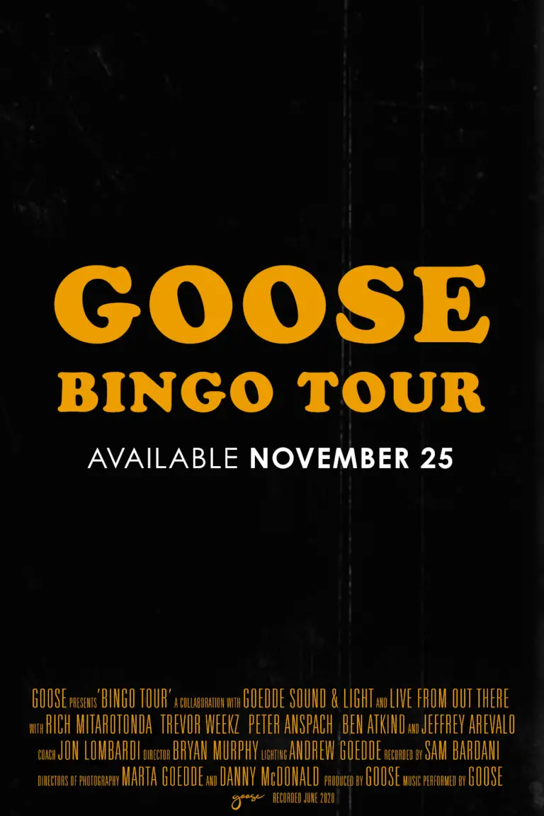 goose bingo