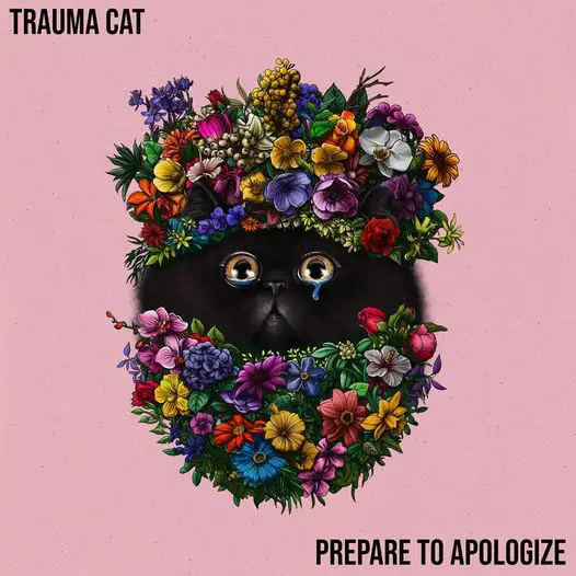 Trauma cat