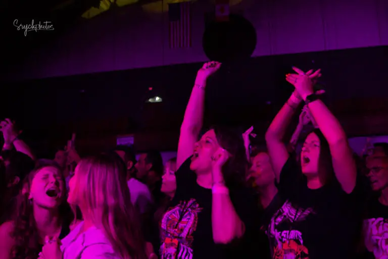 the struts rochester