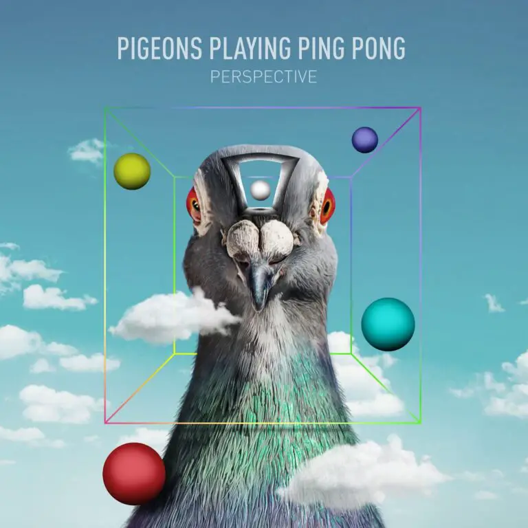 Pigeons Playing Ping Pong 