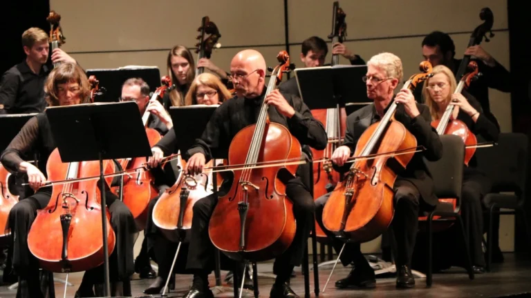 Cello Section of Binghamton Philharmonic