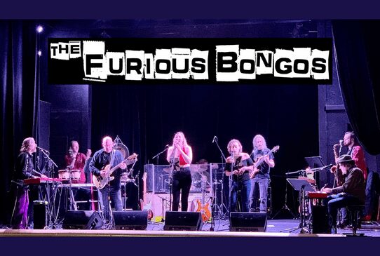 furious bongos frank zappa

