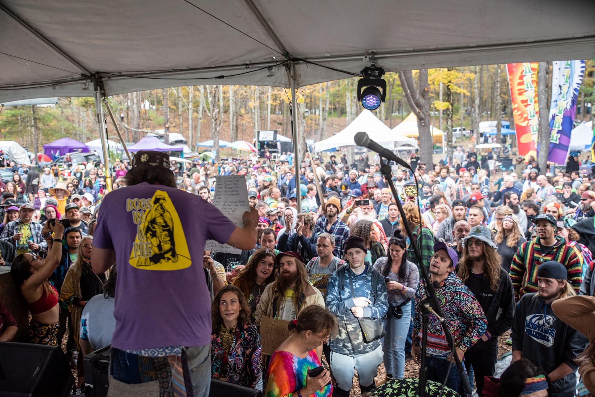 harvest fest cannabis cup