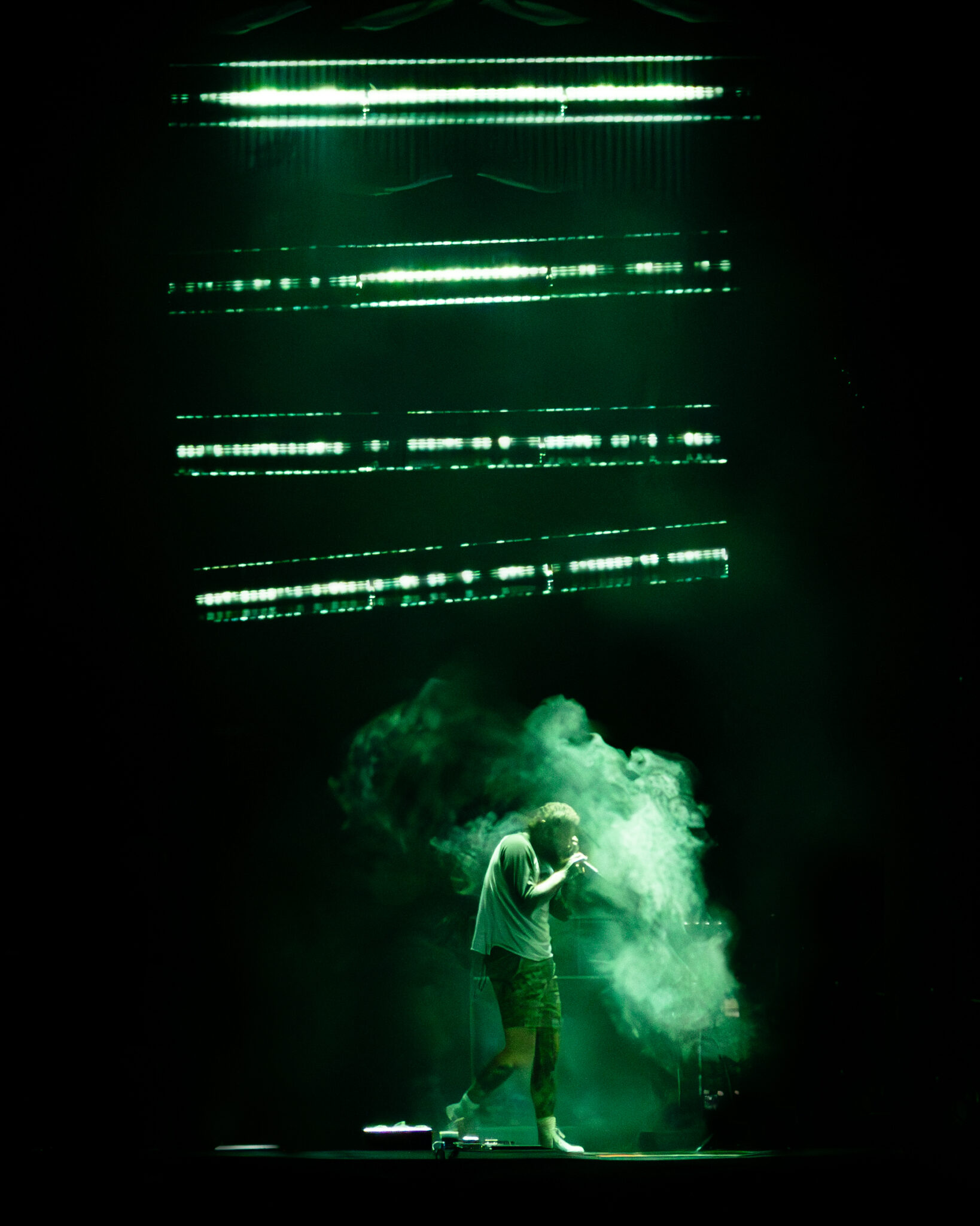 Post Malone Performs to a Hometown Crowd at Darien