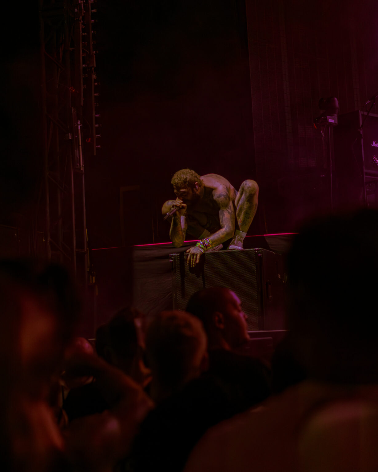 Post Malone Performs to a Hometown Crowd at Darien