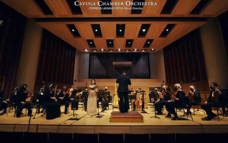 Cayuga Chamber Orchestra Members