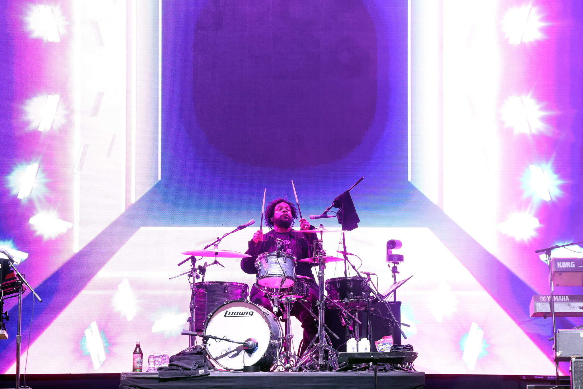 Questlove, RootsPicnic