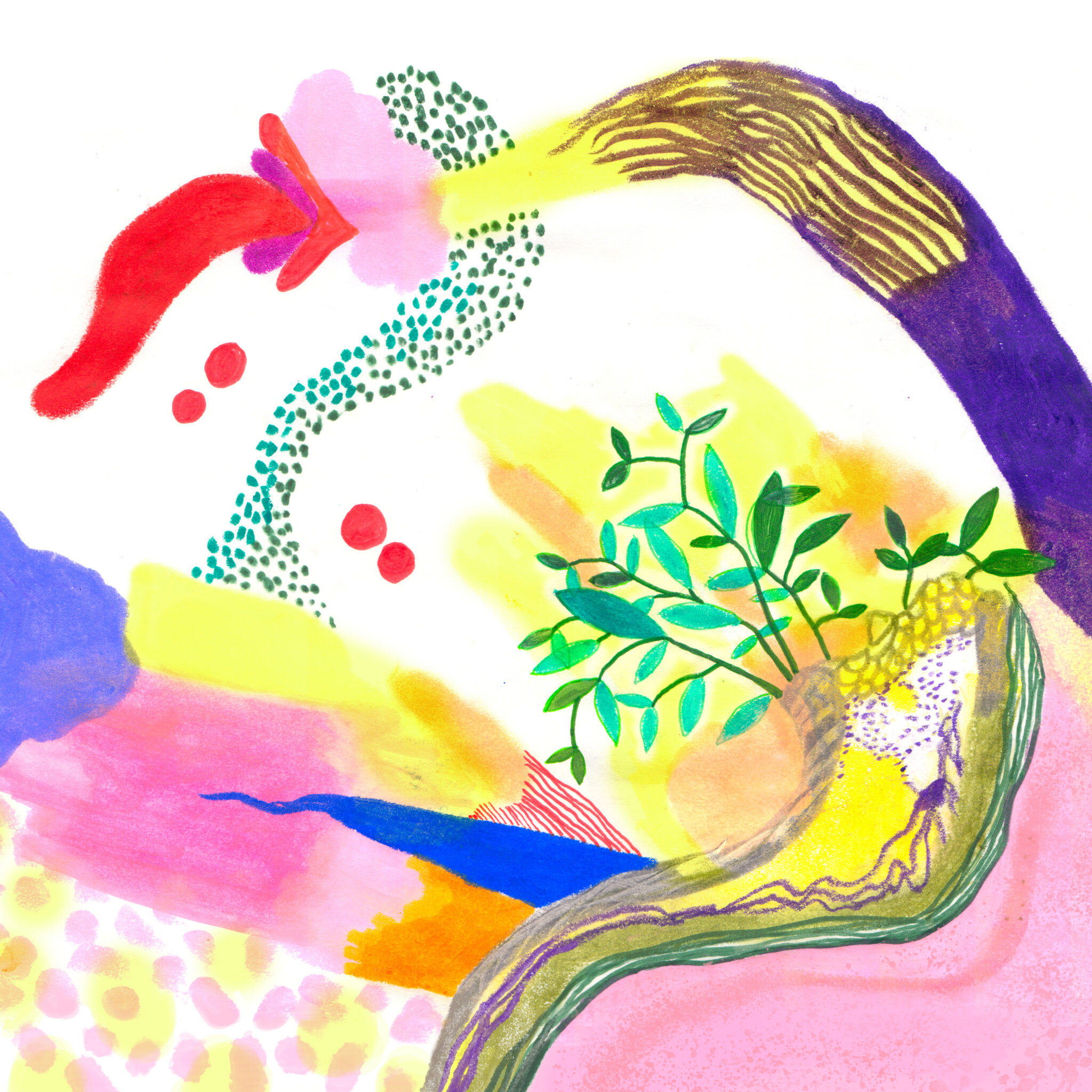 rubblebucket