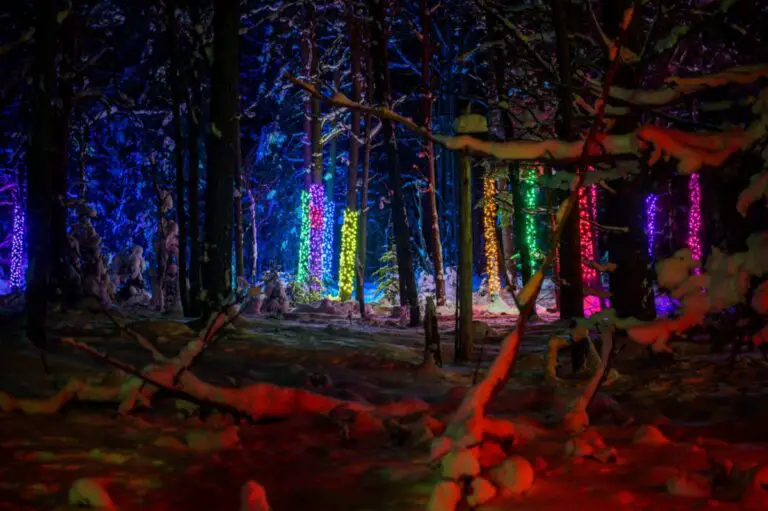 Wild Lights