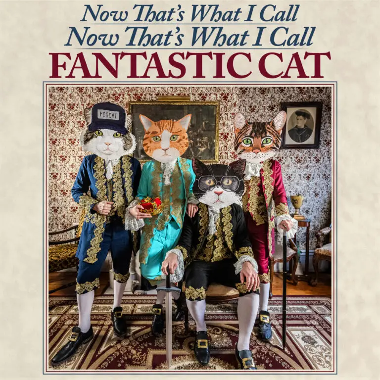 Official album cover for "Now That's What I Call Now That's What I Call Fantastic Cat." Photo by Vivian Wang.