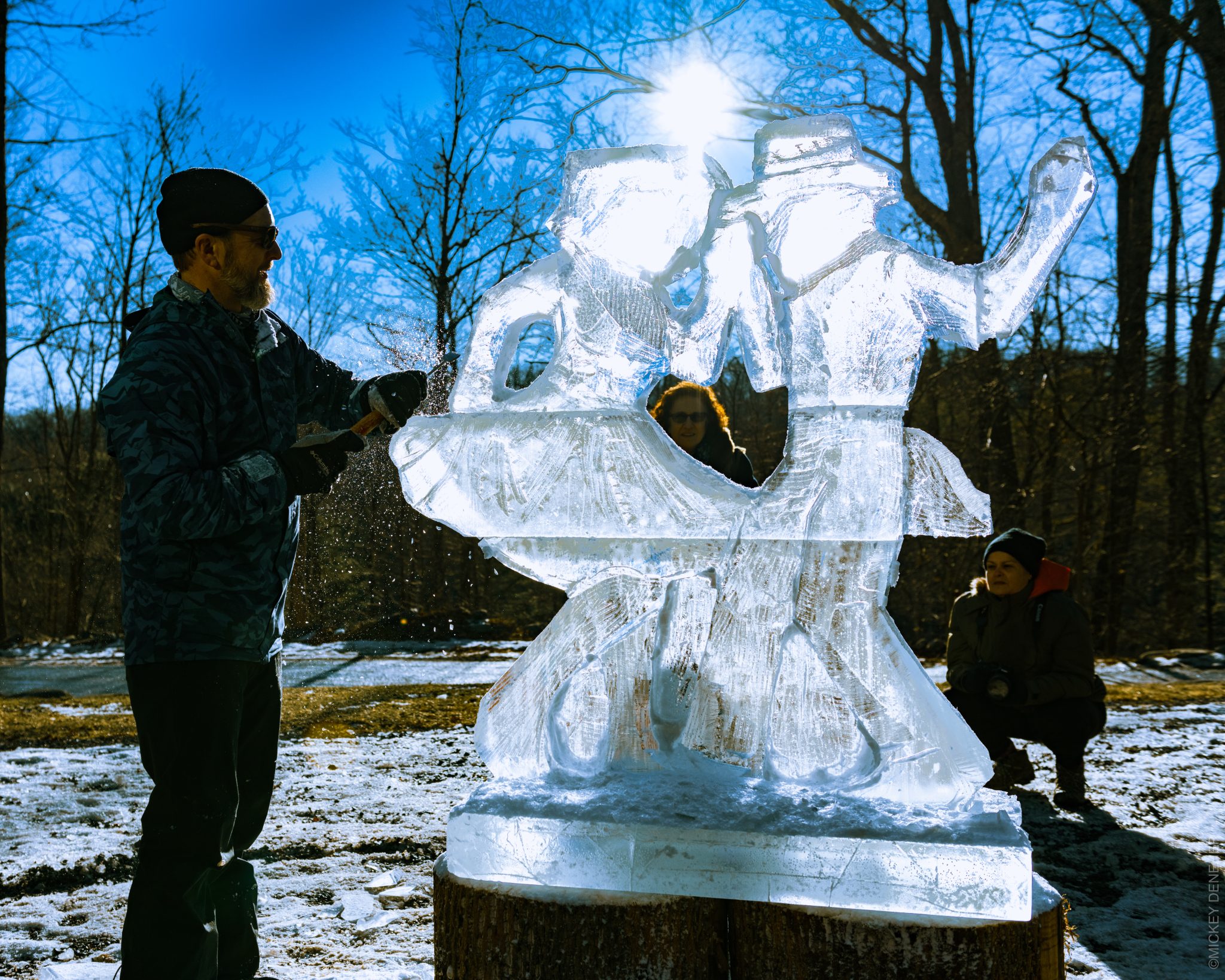 Winter Hoot - Ice Sculpting