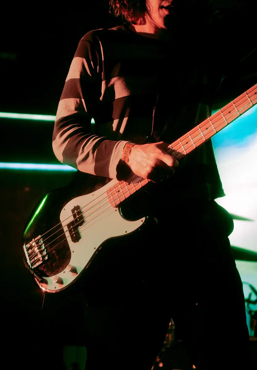 guitarist of heart to gold