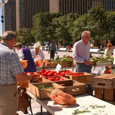 farmers market with people buying fresh produce outside at the Empire Plaza