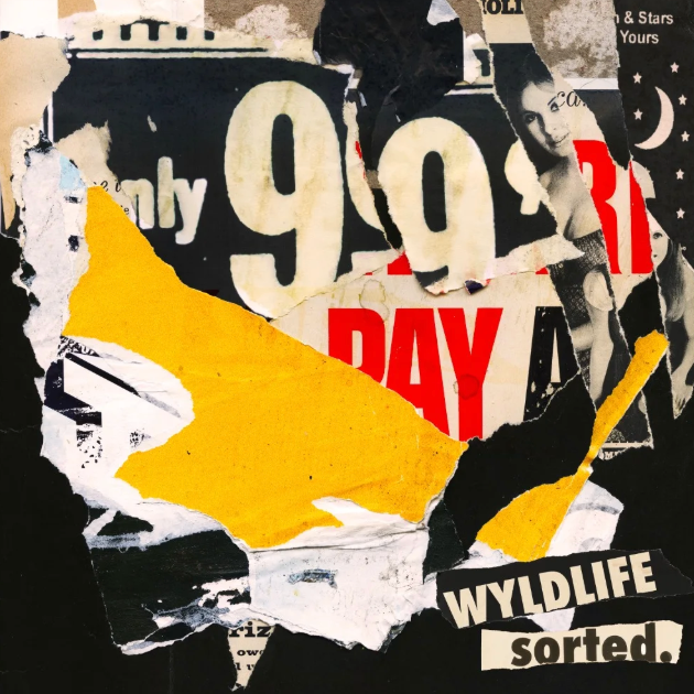 Official cover for WYLDLIFE single, "Dizzy." Photo courtesy of WYLDLIFE