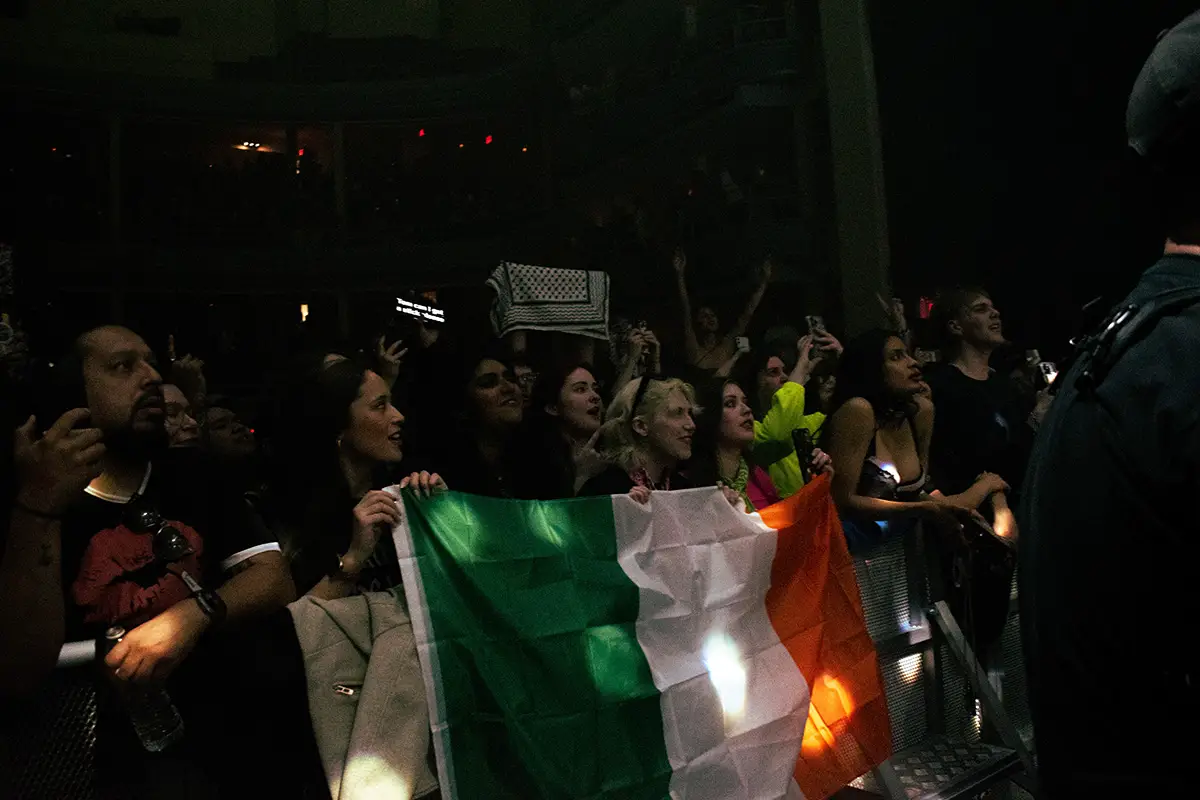 the crowd at Hammerstein ballroom to see fontaines, holding the irish flag