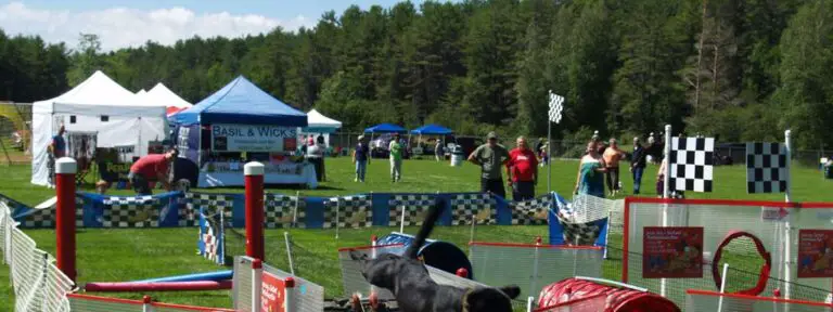photo of dog park with flags and obstacles with tents in the background and evergreen trees afar Woof Stock