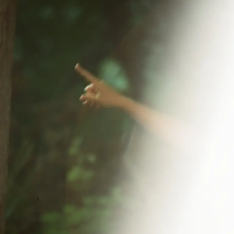 Palace of sunflowers cover image: hazy photo of a hand reaching out up and left with a green background of blurred trees Oropendola