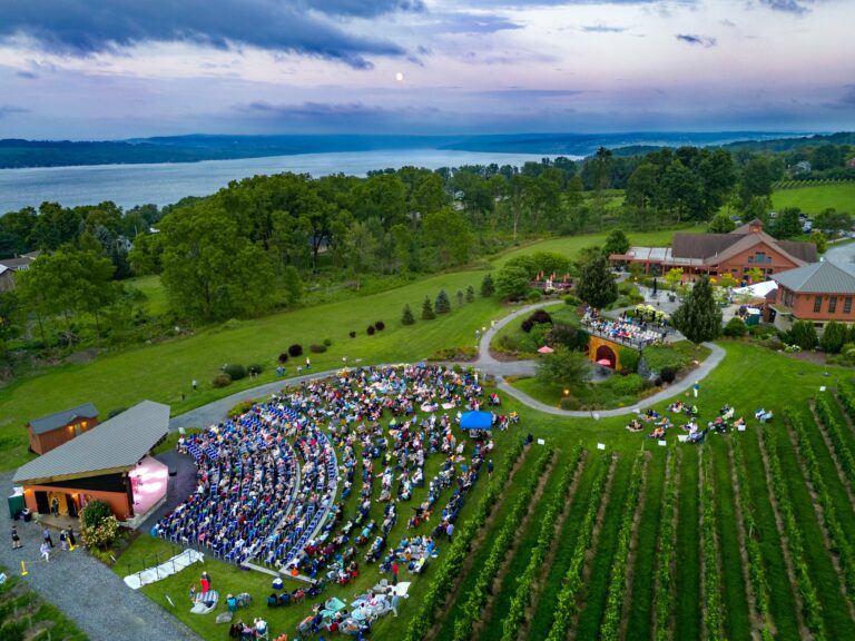 Skaneateles Festival aerial view