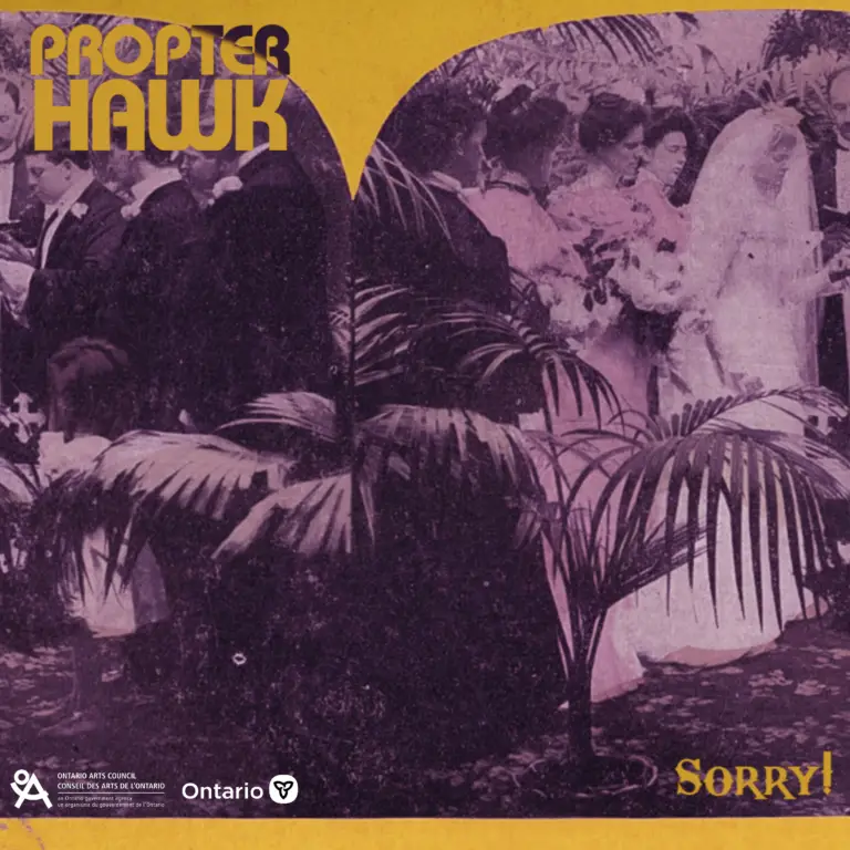Propter Hawk Sorry! EP art