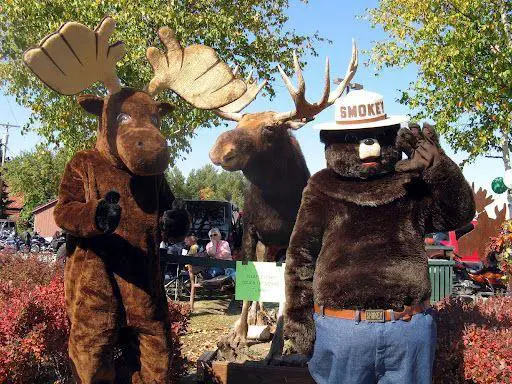 Great Adirondack Moose Festival