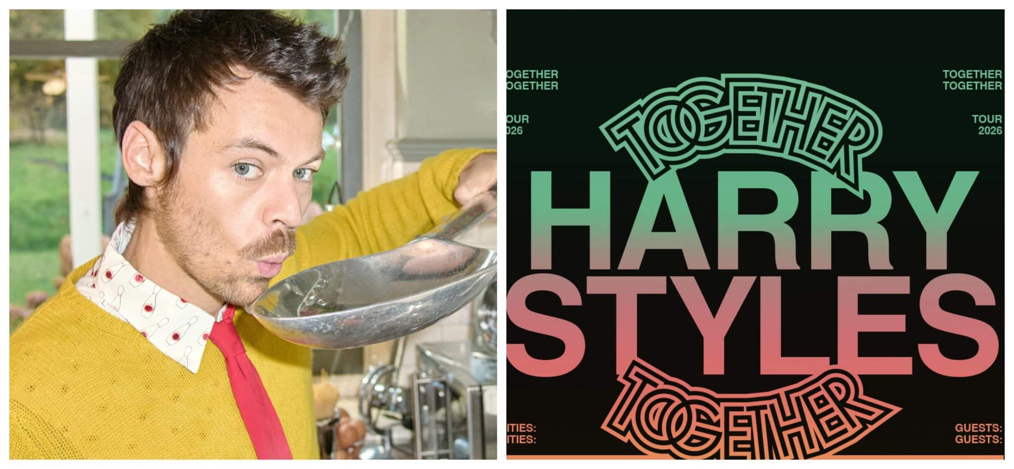 Harry Styles tour poster