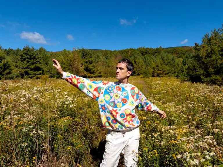 NIc Panken Near Divine or Merely Rhyme