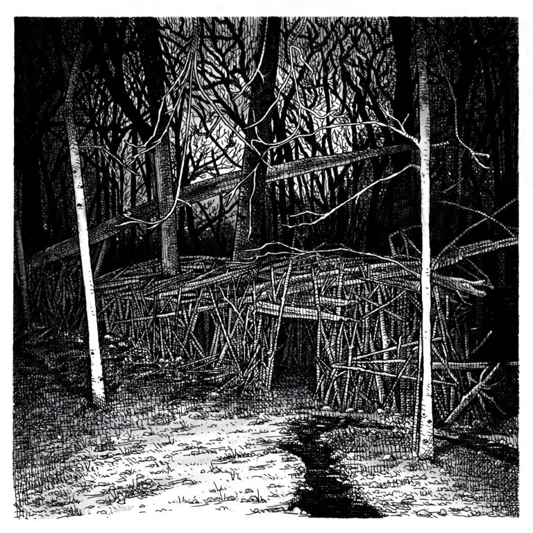 halfway up a jagged hill's HUAJH album artwork