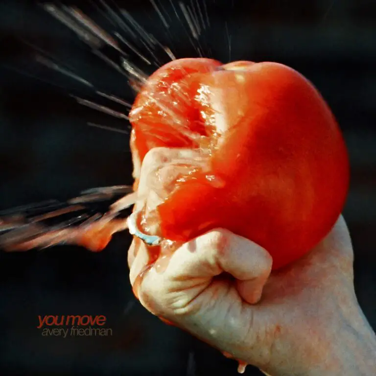 The cover for the "You Move" single